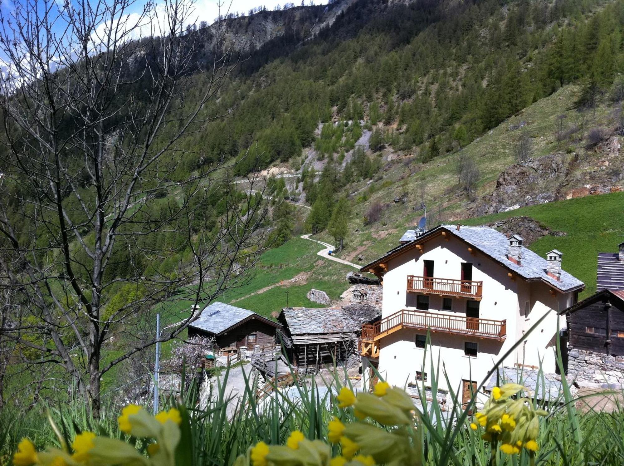 Bed and Breakfast Alpe Rebelle Bionaz Zewnętrze zdjęcie