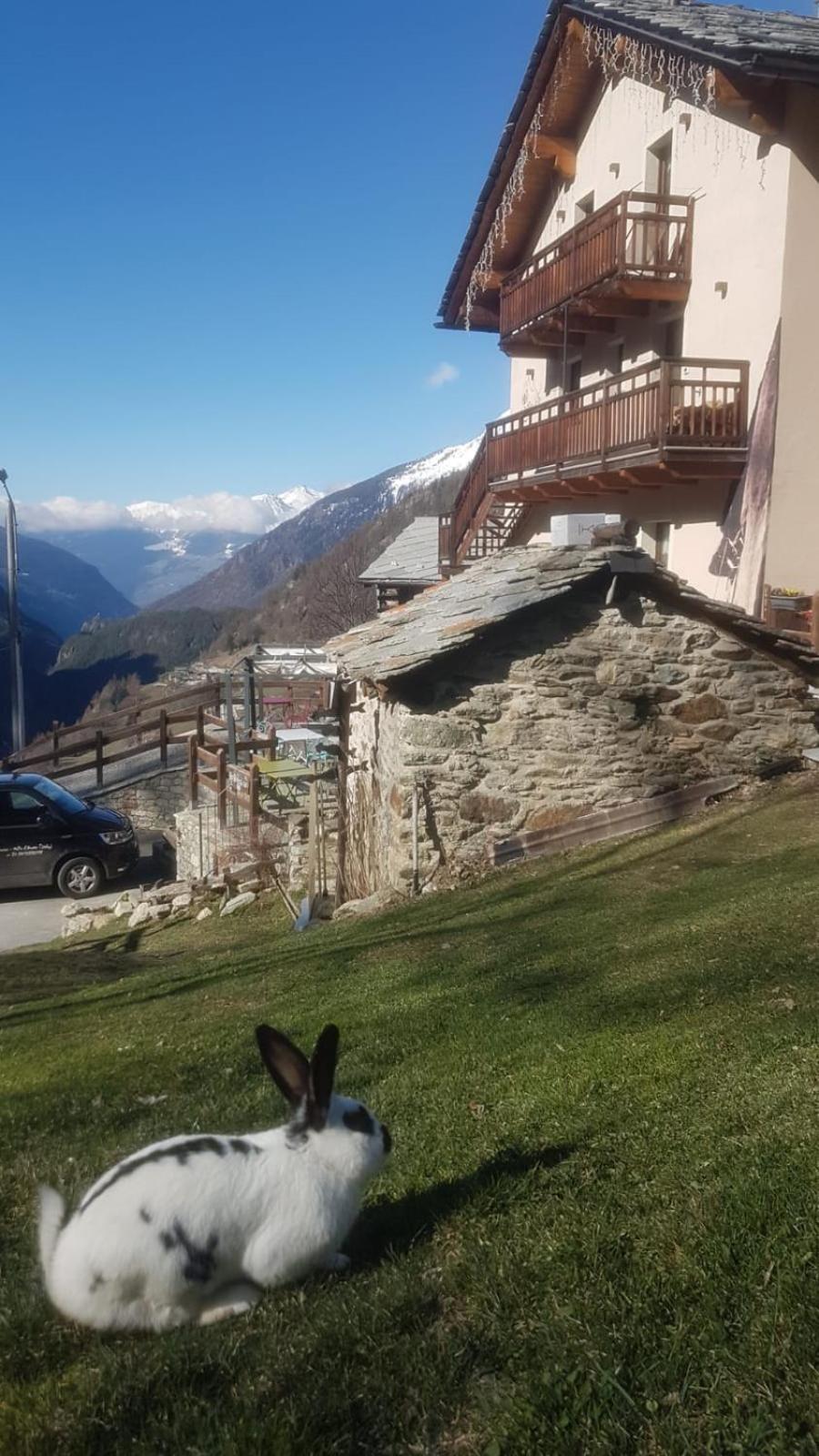 Bed and Breakfast Alpe Rebelle Bionaz Zewnętrze zdjęcie